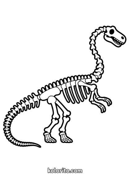 Dinosaurus skelet kleurplaat: een compleet dinosaurusskelet van kop tot staart